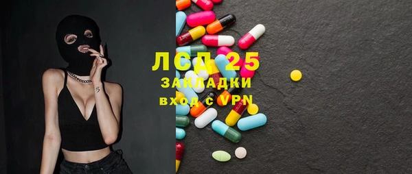прущие крисы Горняк