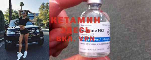гидра Гусь-Хрустальный