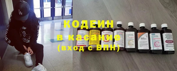 твердый Вяземский