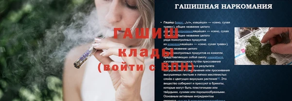 гидра Гусь-Хрустальный