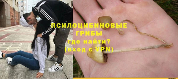 прущие грибы Горнозаводск